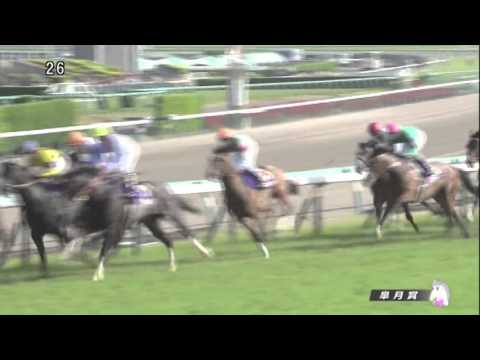 皐月賞 2016(2000m)THE SATSUKI SHO 2016