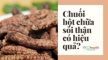 Chuối hột chữa sỏi thận có thực hiệu quả như lời đồn?