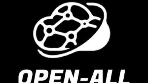 #1 Fivem erreur permissions "entrypoint.sh"