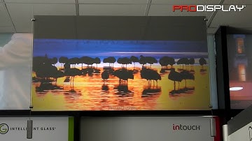 Pro Diffusion Rear Projection Screen