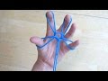 String figure - Flower!  Tutorial - step by step