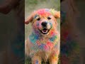 🌈🐕Rang Barse Doggy Pe 🌈🐕 #DogHoli #CuteDog #Holi2026 #HappyHoli#shorts #viralvideo #ytreels