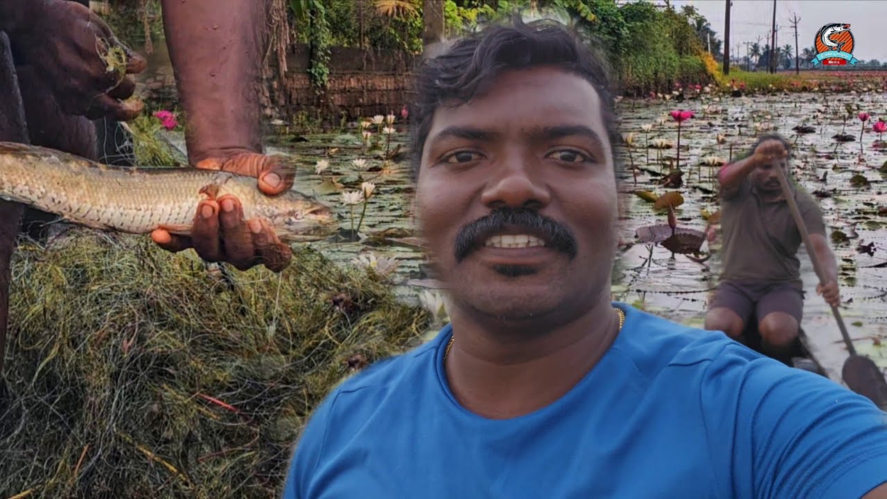 ഇവറ്റകൾക്ക് പണിയെടുക്കാതെ തിന്നാൻ പറ്റുമല്ലോ | വലയിലെ മീൻ മുഴുവൻ കഴുന്ന തിന്നതാവാം 