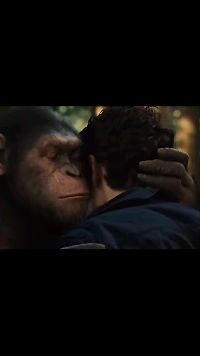 Rise of the planet of Apes || Meme Tamplate|| #trending#shorts|| chik dapak dam dam