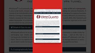 Connecting to WireGuard VPN through RapptorVPN
