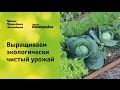 Выращиваем экологически чистый урожай. Защита растений