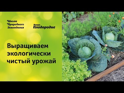 Выращиваем экологически чистый урожай. Защита растений