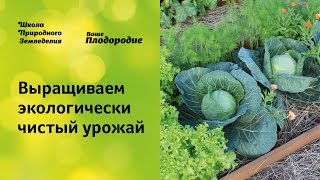 Выращиваем экологически чистый урожай. Защита растений