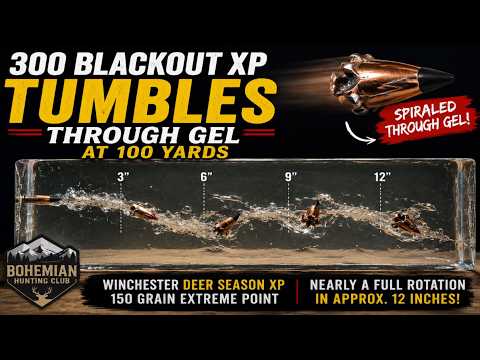 300 Blackout XP TUMBLES Through Gel at 100 Yards