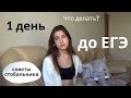 КАК ПОДГОТОВИТЬСЯ К ЕГЭ ЗА 1 ДЕНЬ? / ЕГЭ: Брать ли телефон? Что надеть? Шпаргалки📝