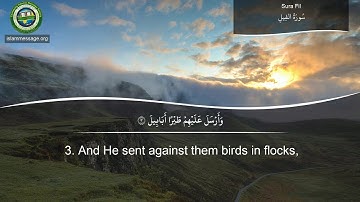 سورة 105. الفيل (ترجمة باللغة الإنجليزية) | مشاري بن راشد العفاسي