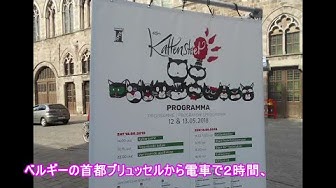 イーペル猫祭り Youtube
