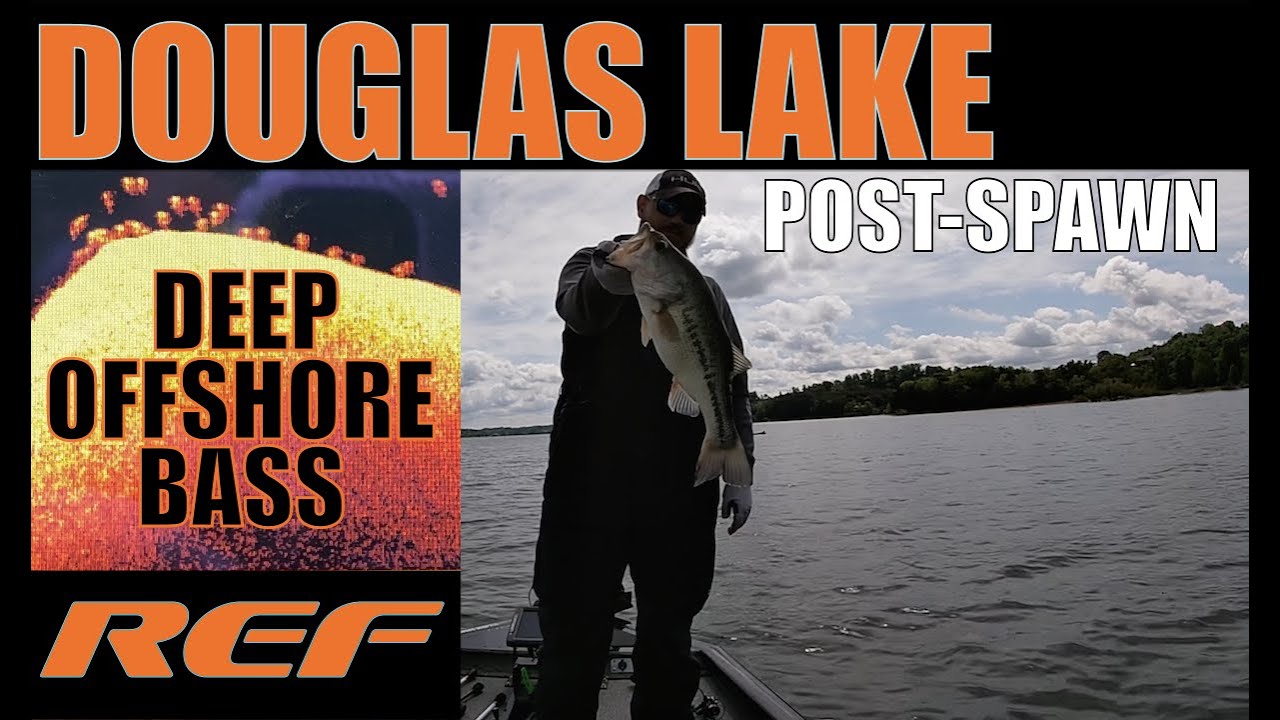 DOUGLAS LAKEFishing PostSpawn DEEP Largemouth Bass YouTube