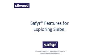 Exploring metadata in a Siebel system with Safyr Exploring Metadata In A Oracle E Business Suite System With Safyr