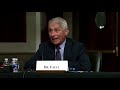 Fauci loses patience and tells senator: 'you're not listening'