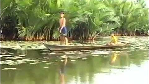 S Discovery | Cà Mau - Bên dòng sông Trẹm