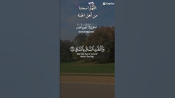 تلاوة عطرة للشيخ سعد الغامدي ماتيسر من سورة القيامة
