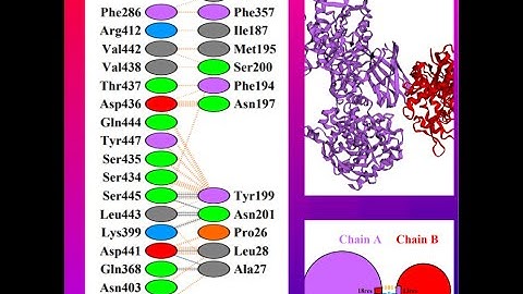 Protein Protein Interaction Analysis