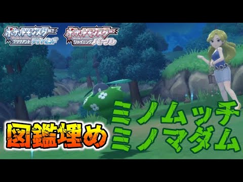 図鑑埋め ミノムッチとミノマダム持ちトレーナーの紹介 ポケモンbdsp ダイパリメイク Youtube