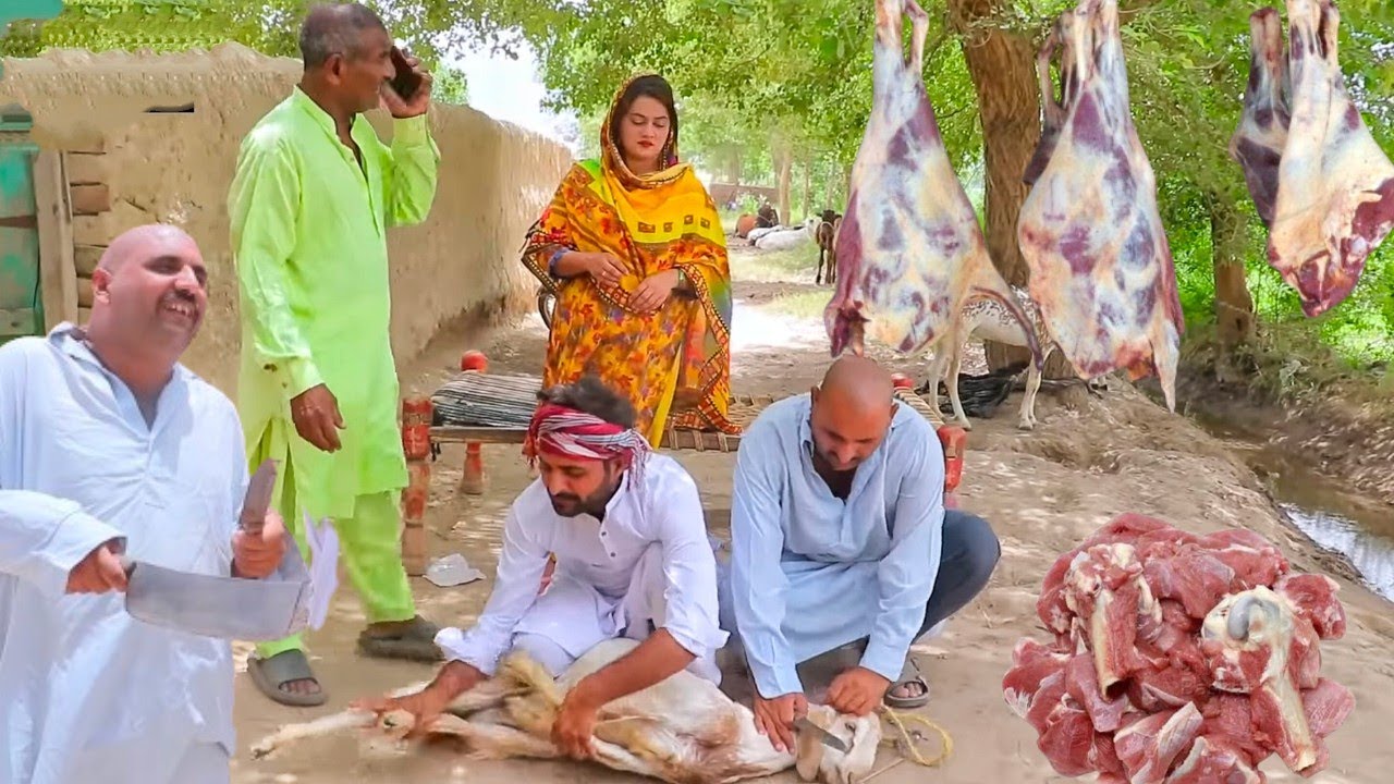 Bakra Eid Spcial/Airport420|Jia|Helmet&Rocket|Chbotta New Funny video 2025 by Airport tv