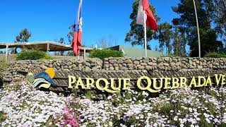 Parque Quebrada Verde Valparaíso Parte 1 #valparaiso #bicicletas #puerto #gopro