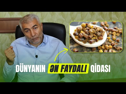 Dünyanın ən faydalı qidası - Güləmin faydaları / Perqa | Fizuli Hüseynov