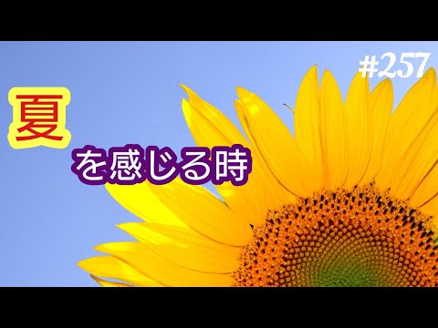 【夏】もう、夏ですね。私が夏を感じるときについて語ります。４７歳おっさんが語る◆257