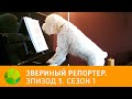 Звериный репортер. Эпизод 3. Сезон 1 | Живая Планета