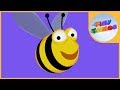 A Bee C song - Alphabet Song by Tiny Tunes