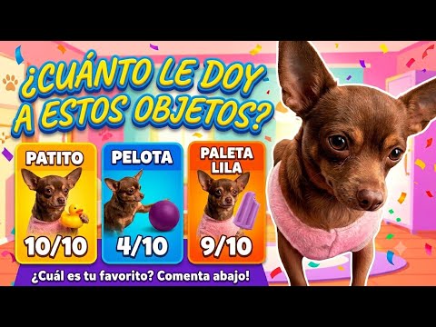 No creerás cuál es el juguete FAVORITO de mi perrita 😱🦆