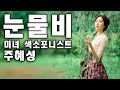 눈물비 (홍진영) #미스터트롯 #정동원  색소폰으로 국악을?! [미녀 색소포니스트-주혜성] 영상미 강추!! [ Beautiful Korean sax girl ]