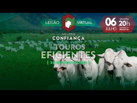 LOTE 05