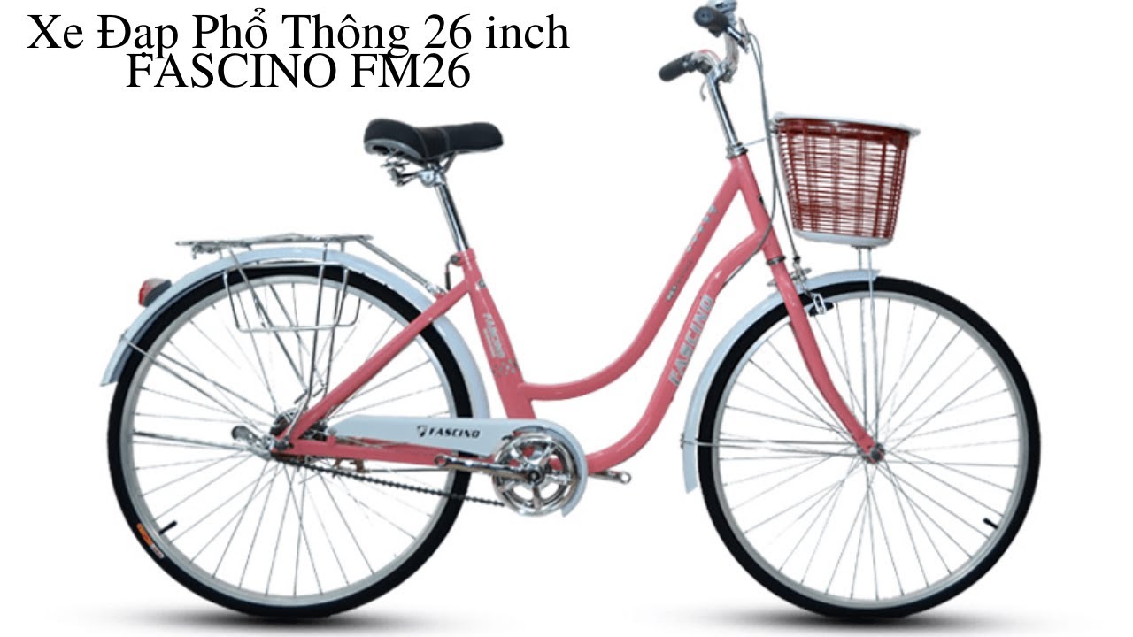 XE ĐẠP PHỔ THÔNG 580 INOX 100  Xe Đạp  trumxedapcom