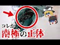 【ゆっくり解説】南極の正体はムー大陸！？氷河で封印された超古代文明の痕跡　南極の遺跡が隠蔽される謎とは？ムー大陸と日本の関係とは？【都市伝説】