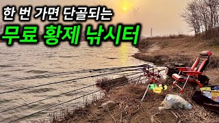 ⚠️(경고) 여긴 낚시 오지 마세요. 진짜 너무 좋아서 집 나올 수 있습니다. 충남 당진 차대고 바로 낚시가 가능한 무료 포인트 소개(주소 완벽 공개) #붕어낚시 #무료낚시포인트