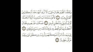 سورة النمل 7 القسم السابع تكرار كيفي من .. وتفقد الطير فقال ما لي لا أرى الهدهد .. إلى .. عرش عظيم