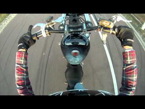 Stunt Harley-Davidson Nolan Thirion 1200 Sportster