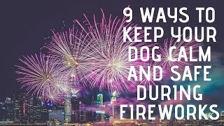 Music For Pets During Fireworks | Popnable