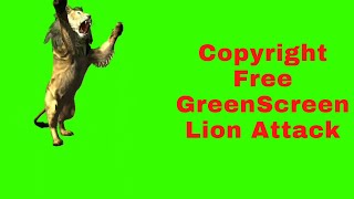 Lion Attack//GREENSCREEN HD/Copyright Free GreenScreen Video For Youtube|Free Download/LION