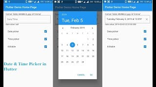 Date And Time Picker In Flutter Flow Date And Time Date Time Picker ...