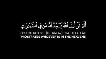 {أَلَمْ تَرَ أَنَّ ٱللَّهَ يَسْجُدُ لَهُ} سورة الحج الآية: 18 | الشيخ ياسر الدوسري حفظه الله