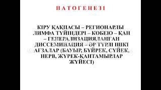 Мерез Ауыз Қуысының Мерездік Зақымданулары Гонококты Стоматит Хламидиоз