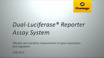 Dual-Luciferase® Reporter Assay System