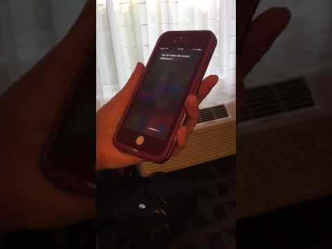 Funny Definition Of Mother Siri Glitch