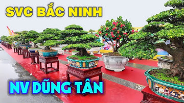 Khó có vườn nào sánh được với Nhà Vườn Cây Cảnh này ở triển lãm Bắc Ninh