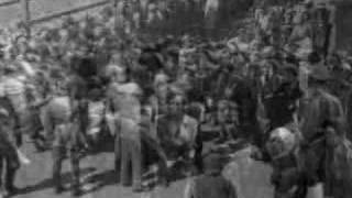 Pictorial record Hungarian Jews arrive at Auschwitz May 44