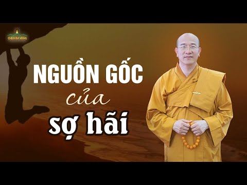 Video: Biểu Hiện “hoảng Sợ Sợ Hãi” Bắt Nguồn Từ đâu?