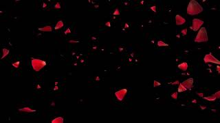 4k Romantic Dropp off  roses red slow |كروما سوداء تساقط الورد , شاشة سوداء ورد أحمر ستوريات حب وعشق