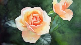 Watercolor painting of roses approach 1