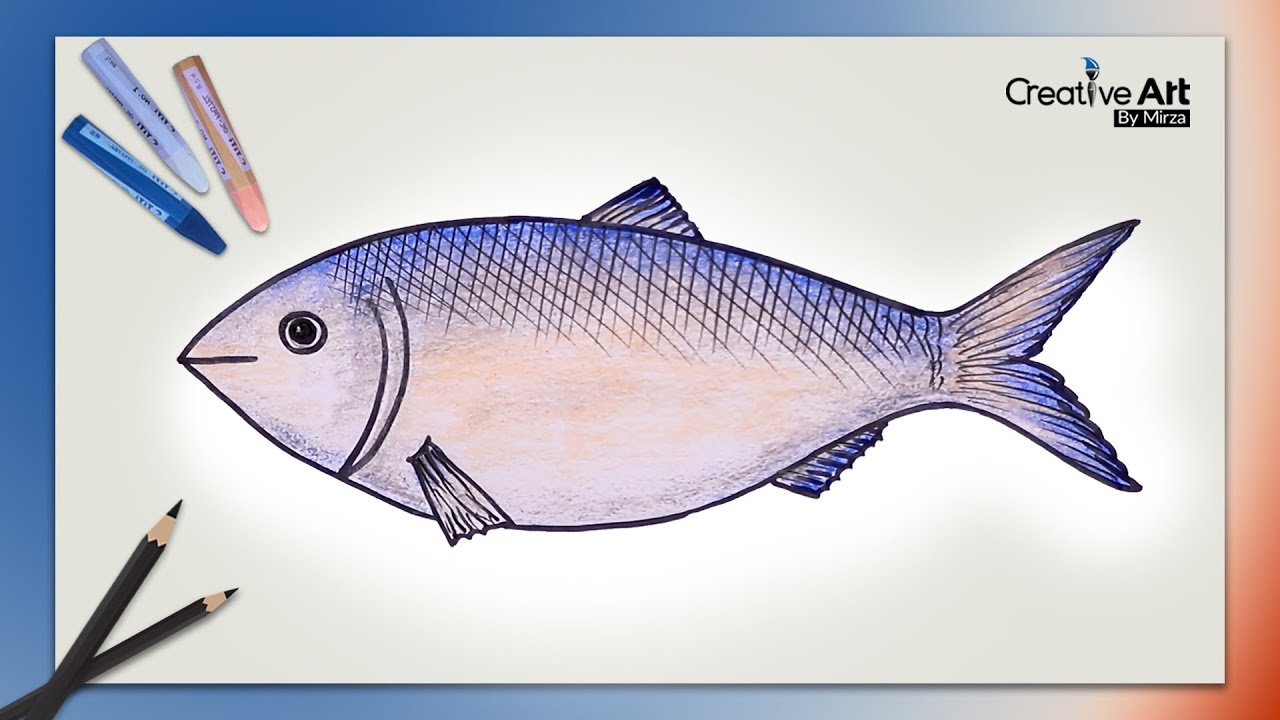 Drawing Tutorial Draw a beautiful hilsa fish using pencil  Steemit